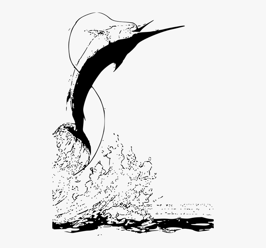 Fishing, Swordfish, Ocean, Marlin, Sailfish, Nature, HD Png Download