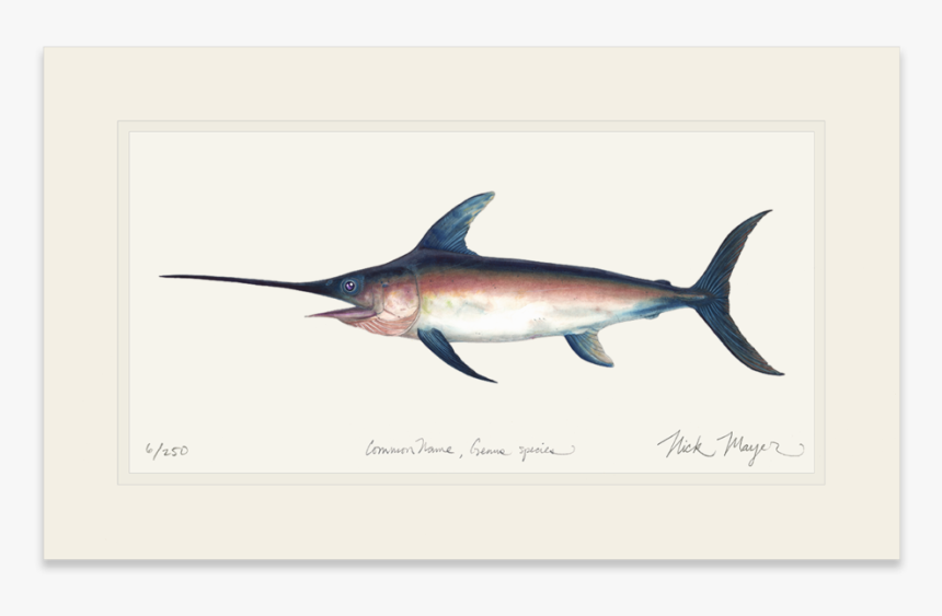 Swordfish, HD Png Download