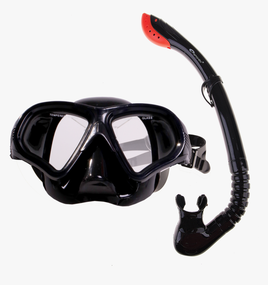 Tortuga, HD Png Download