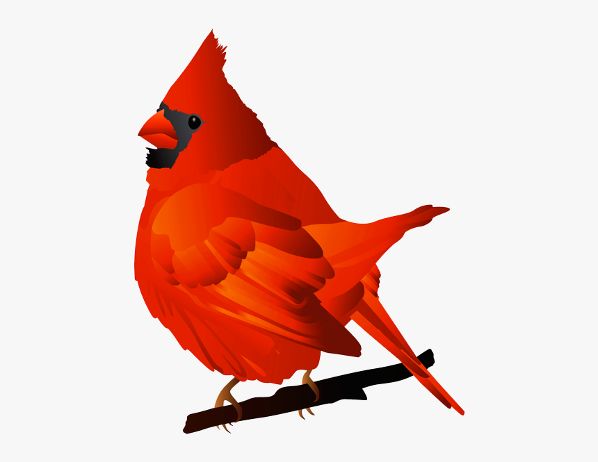 Winter Cardinal Clipart, HD Png Download