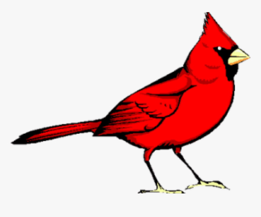 Graphic Freeuse Library Cardinal Clipart, HD Png Download