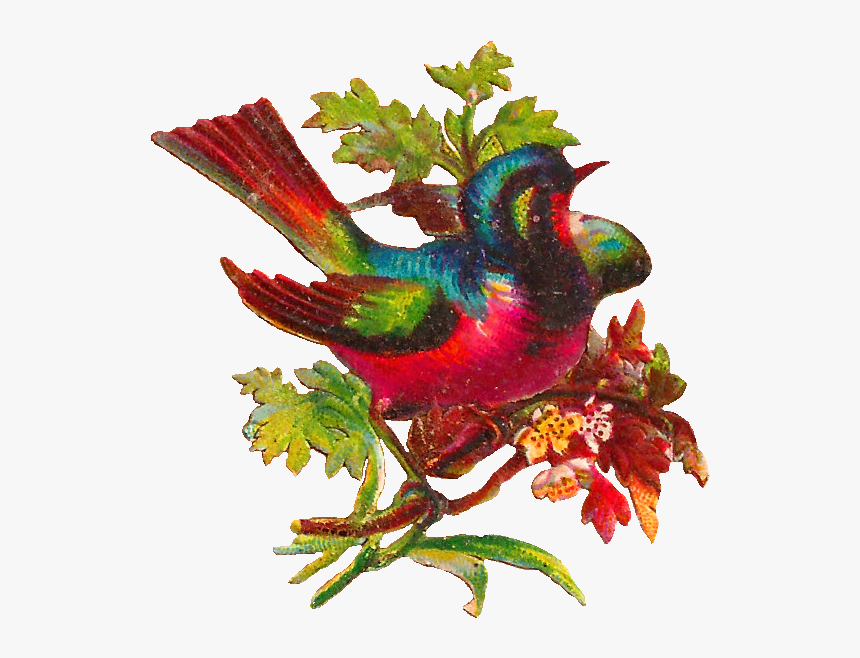 Free Digital Bird, HD Png Download