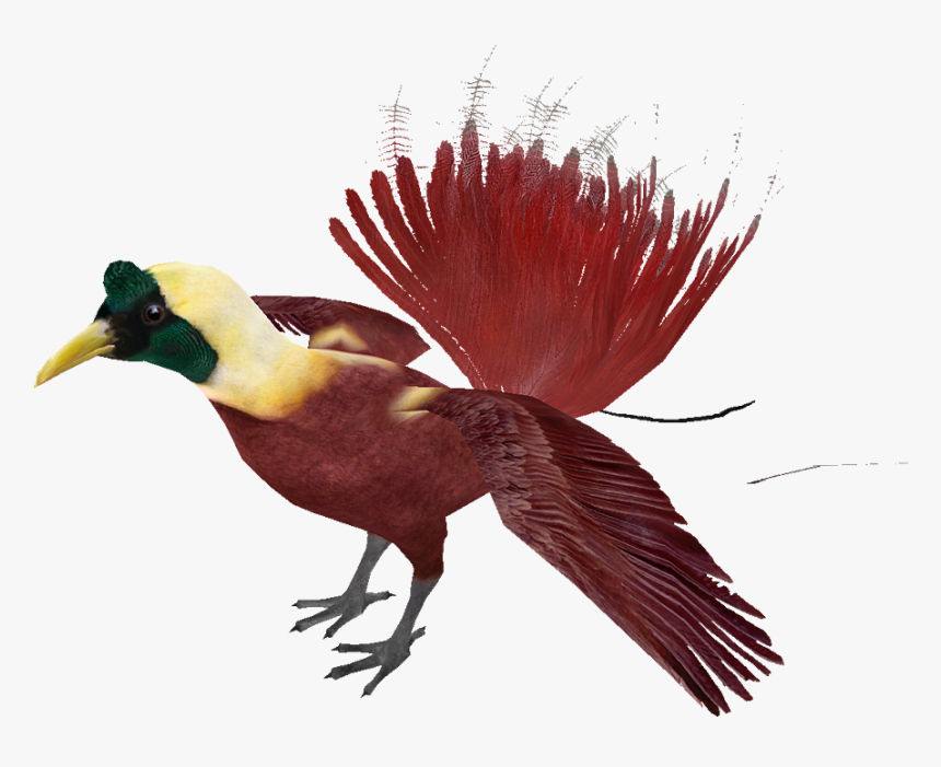 8lo6adw, HD Png Download