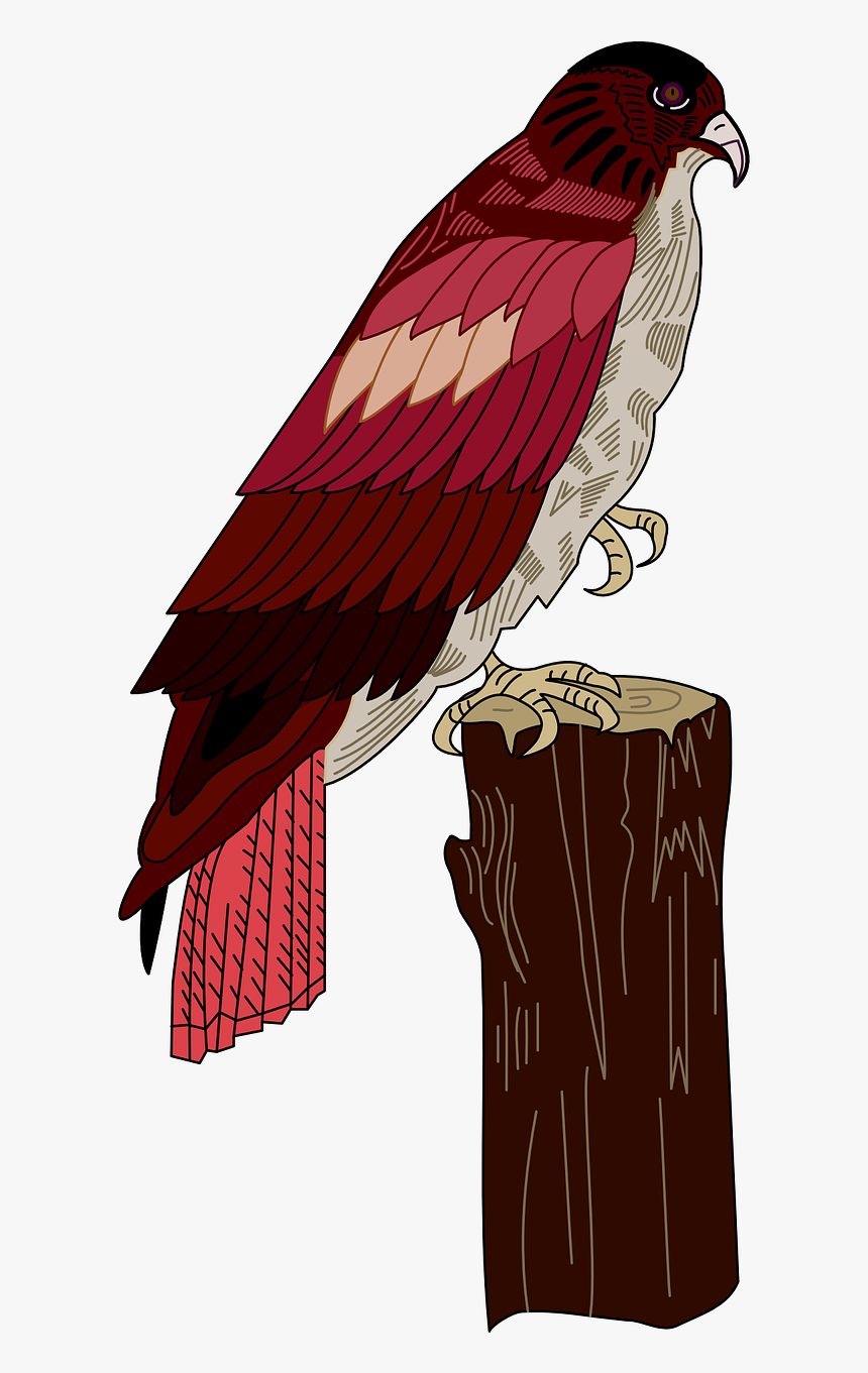 Red Bird Png, Transparent Png