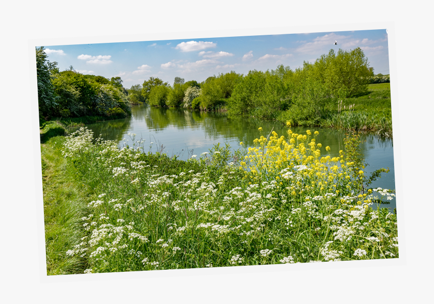 Pub Walk River, HD Png Download