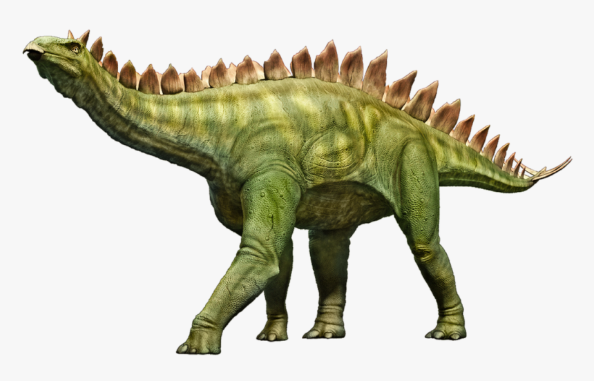 Stegosaurus, Dinosaur, Stego, Dino, Prehistoric, HD Png Download