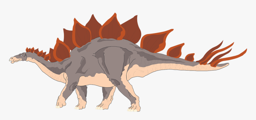 Stegosaurus Png, Transparent Png