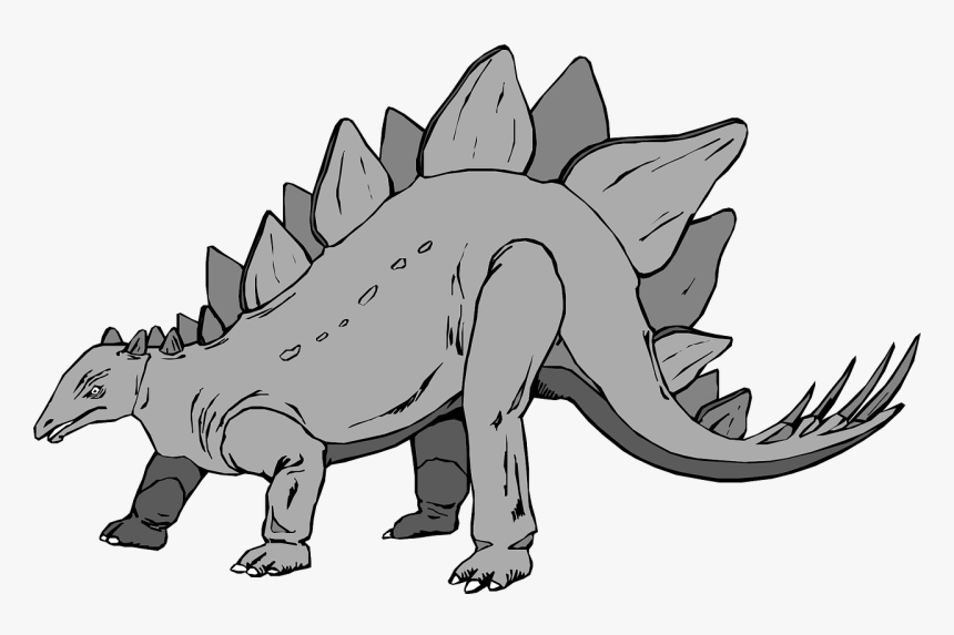 Stegosaurus Png, Transparent Png