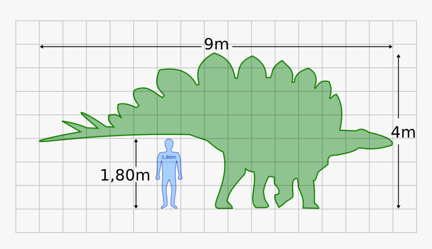 Stegosaurus Png, Transparent Png