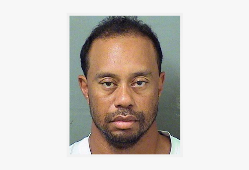 Tiger Woods Png, Transparent Png