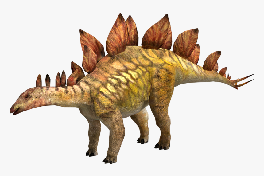 Stegosaurusicon, HD Png Download