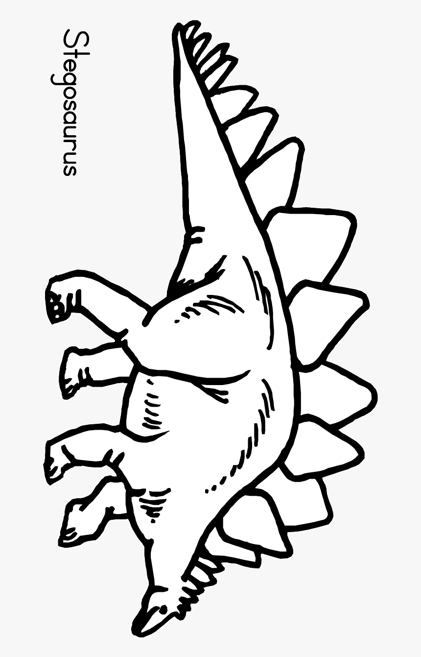 Fossil Colouring Sheet Frames Illustrations Hd Images, HD Png Download