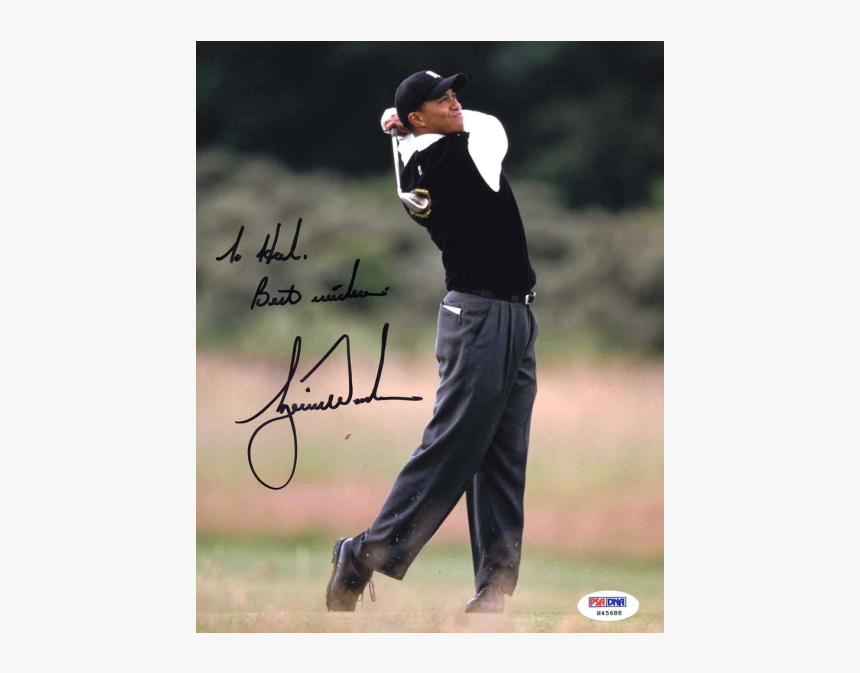 Tiger Woods Png, Transparent Png