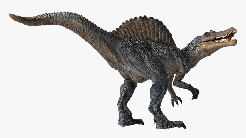 Spinosaurus Png Transparent Image, Png Download