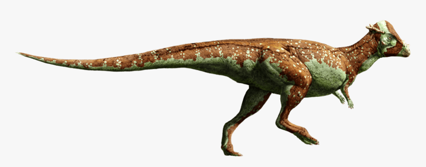 Fallen Kingdom Stegosaurus Jurassic World , Png Download, Transparent Png