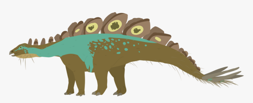 Collection Of Free Stegosaurus Drawing Feather Download, HD Png Download