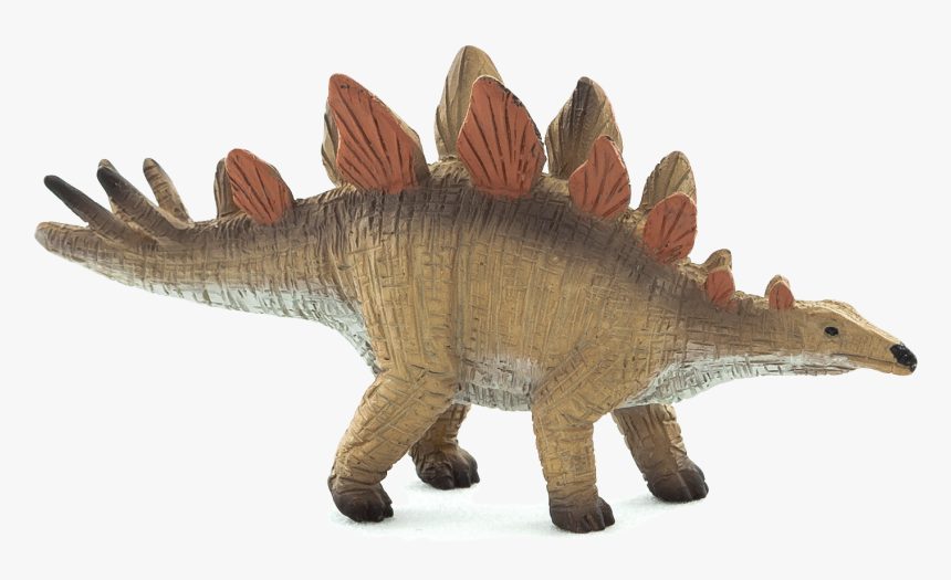 Stegosaurus Png, Transparent Png