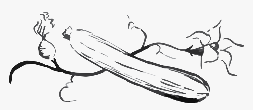Zucchini Png Black And White, Transparent Png