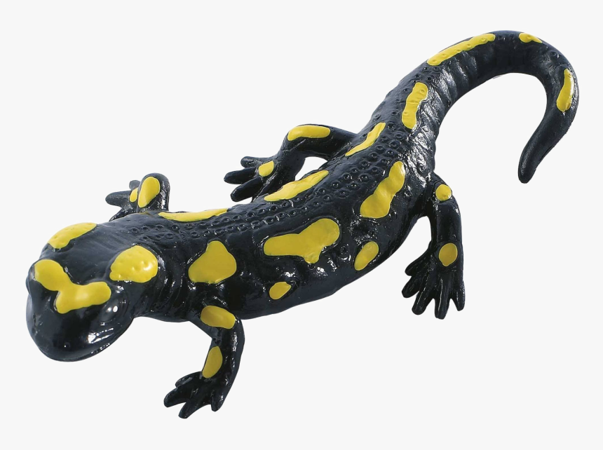 Salamander Transparent Images, HD Png Download