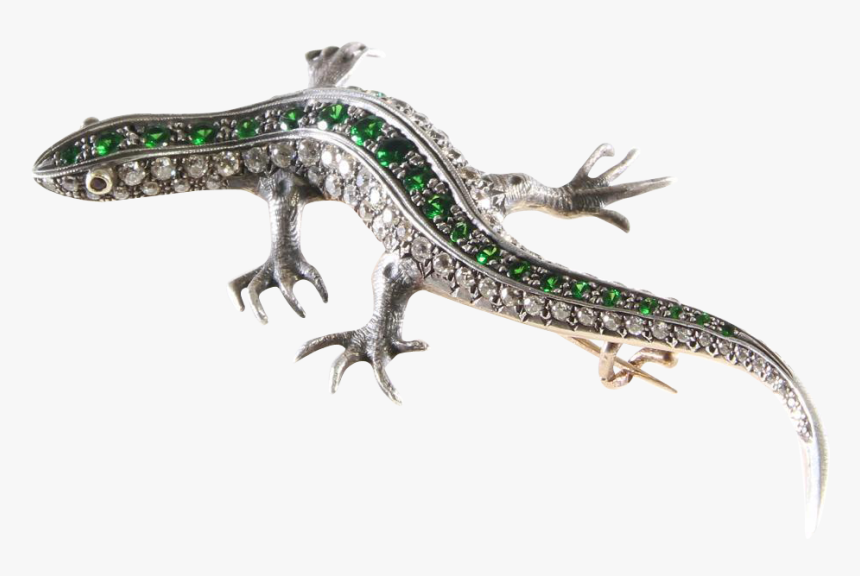 Salamander Png Transparent Image, Png Download