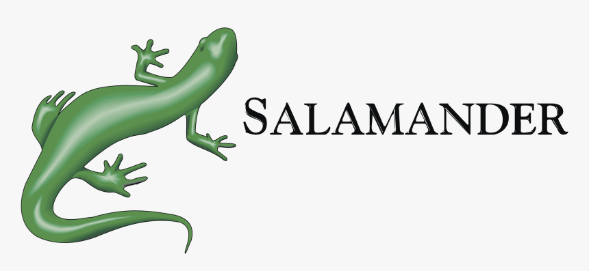 Salamander Png, Transparent Png