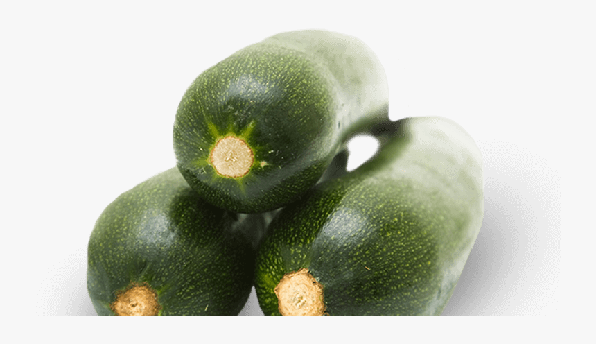 Zucchini , Png Download, Transparent Png
