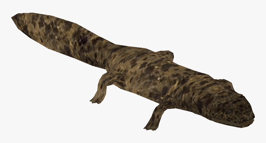 Japgiantsalamanderhd, HD Png Download