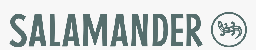 Salamander Png, Transparent Png