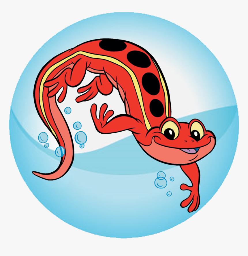 Jewish Salamander Clipart , Png Download, Transparent Png