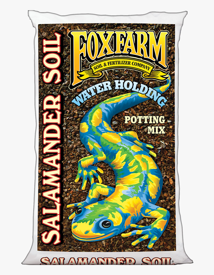 Salamander Png, Transparent Png