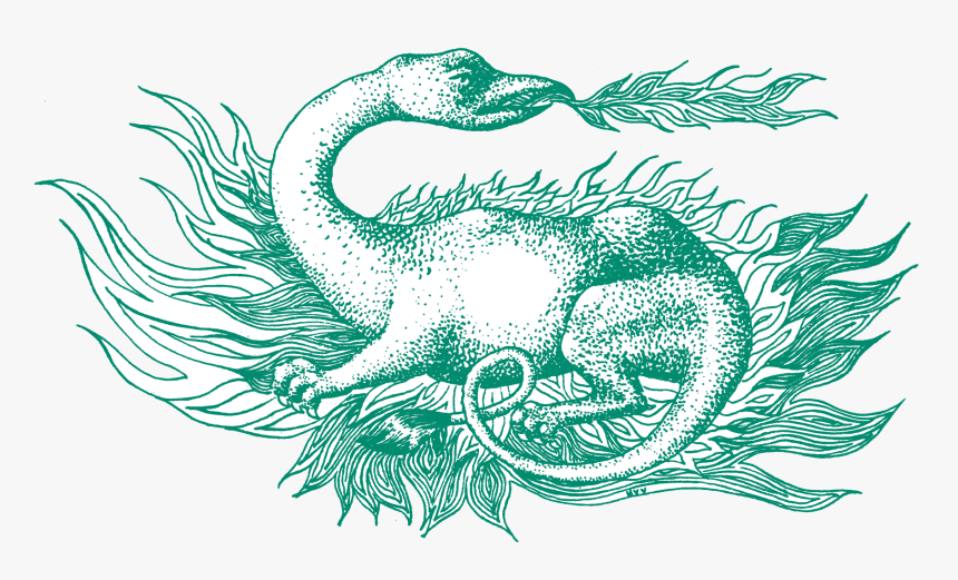 Salamander Png, Transparent Png