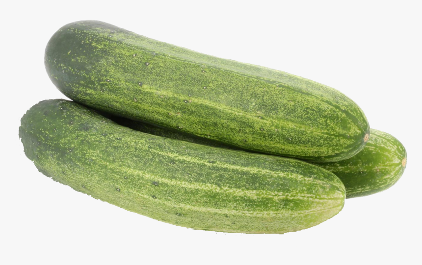 Gourd, And Melon Gherkins,summer Squash,pepino,winter, HD Png Download