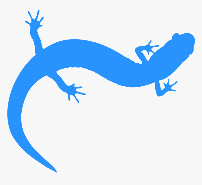 Salamander Png, Transparent Png