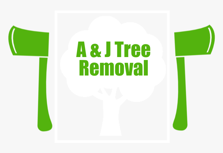 Tree Services, Removal, Trimming, Stump Grinding &, HD Png Download