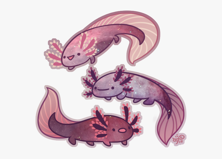 Salamander Png Image With Transparent Background, Png Download