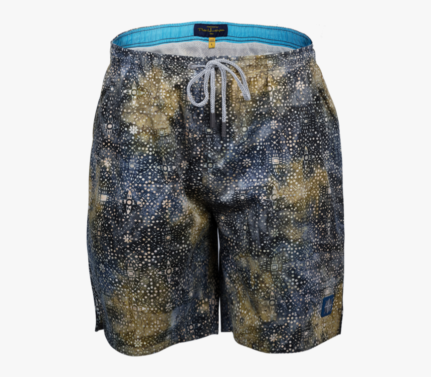 Salamander Png, Transparent Png