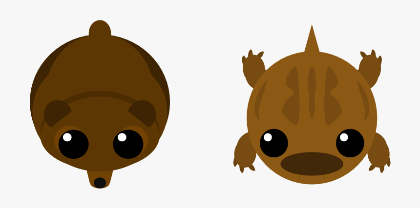 Salamander Png, Transparent Png