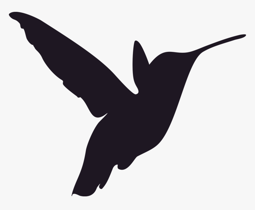 Humming Bird Png, Transparent Png