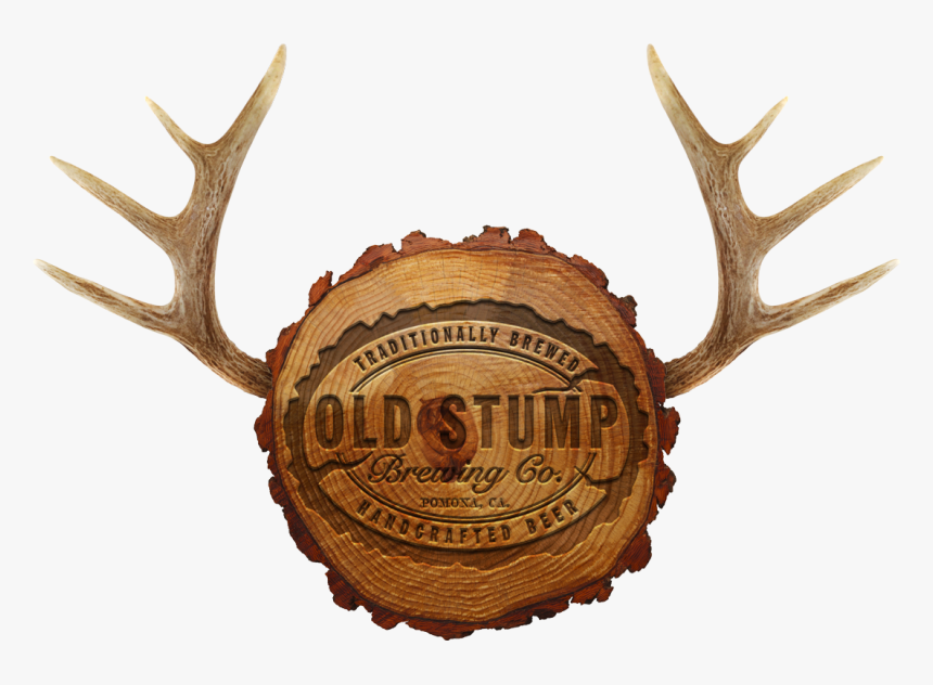 Stump Png, Transparent Png