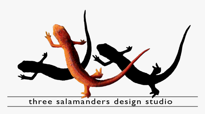 Three Salamanders Graphic Design Video Editing And, HD Png Download
