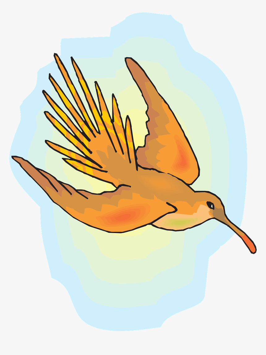 Humming Bird Png, Transparent Png