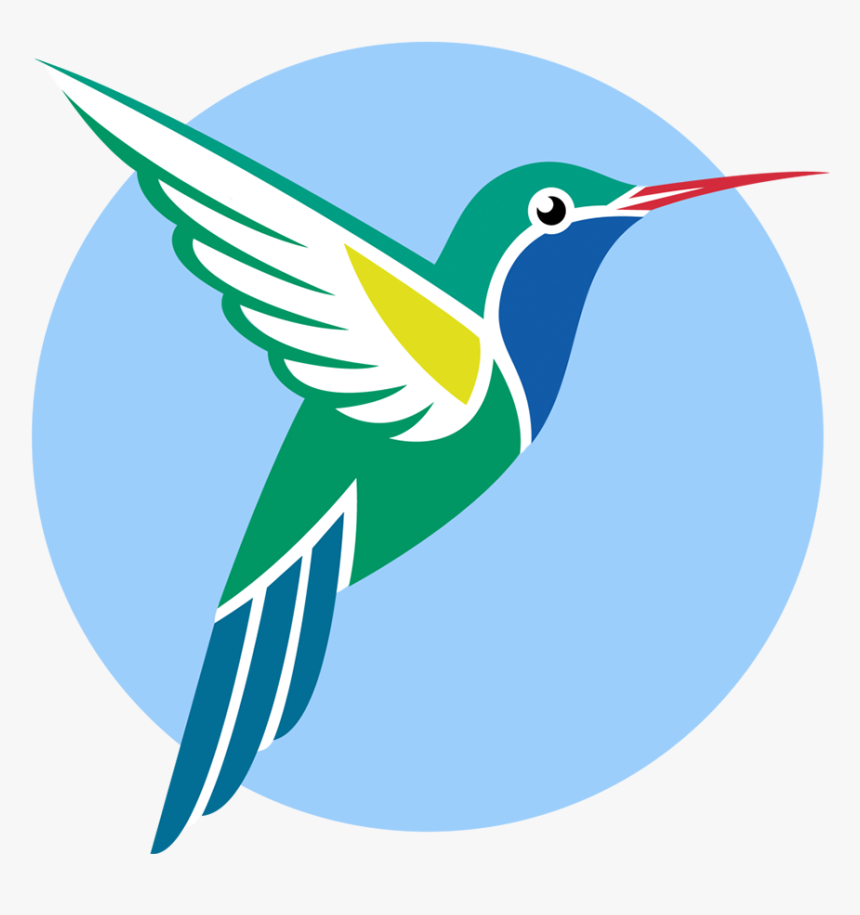 Broad Billed Hummingbird Vector Graphics Ruby Throated, HD Png Download