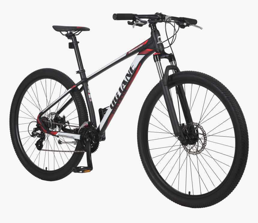 Salamander Png, Transparent Png