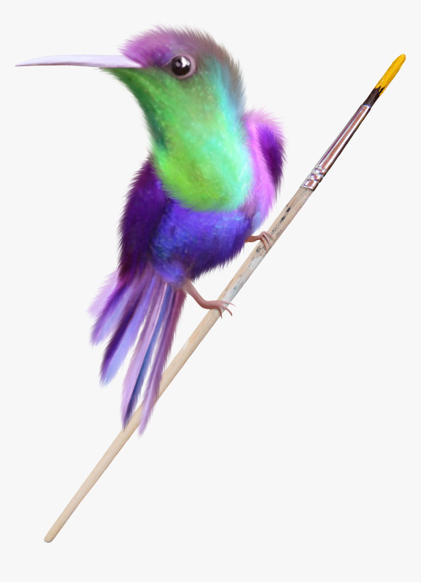 Humming Bird Png, Transparent Png