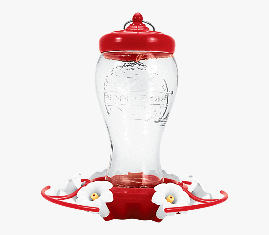 Transparent Humming Bird Png, Png Download