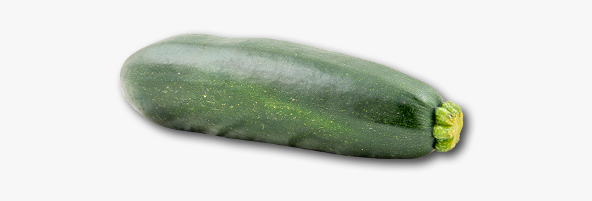 Zucchini Png, Transparent Png