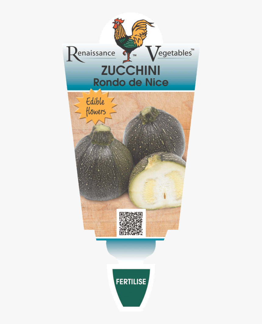 Zucchini Png, Transparent Png
