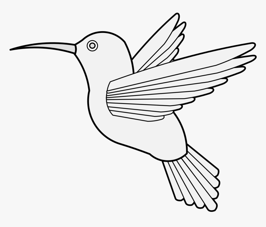Humming Bird Png, Transparent Png