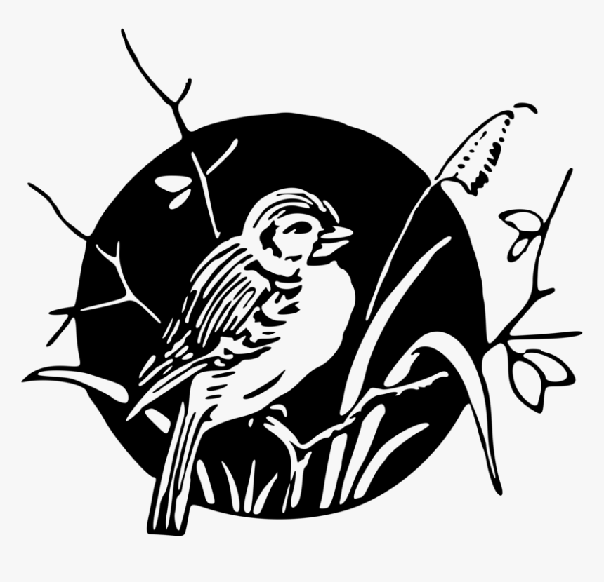 Transparent Humming Bird Clipart, HD Png Download