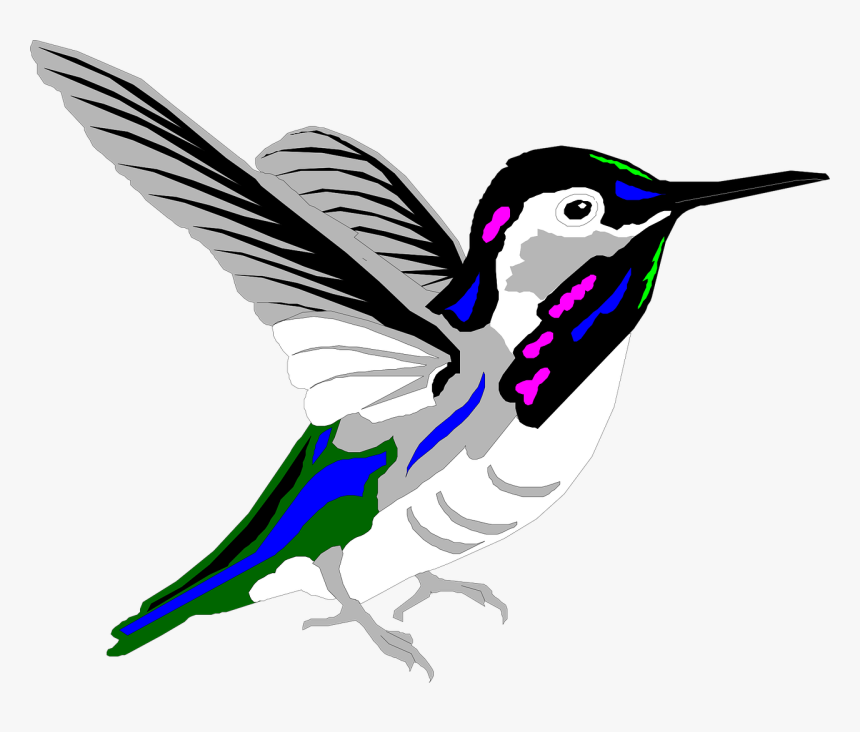 Humming Bird Png, Transparent Png